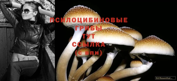 прущая мука Козловка