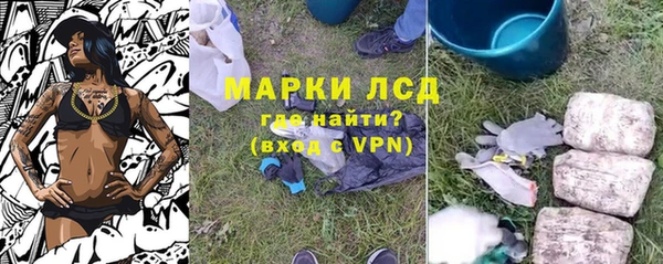 крисы Козельск