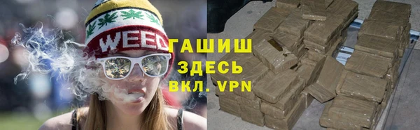 крисы Козельск