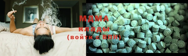 крисы Козельск