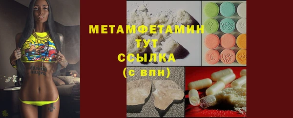 крисы Козельск