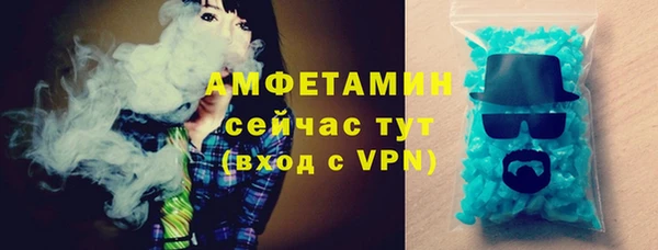 крисы Козельск