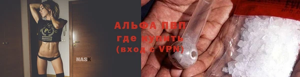 крисы Козельск