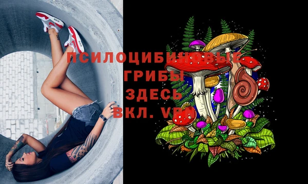 крисы Козельск