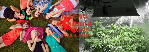 крисы Козельск