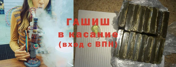 крисы Козельск