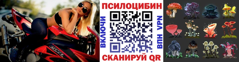 Купить закладки Нижний Новгород Псилоцибиновые грибы прущие грибы