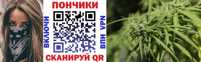 Шишки марихуана ГИДРОПОН  Купить где  Нижний Новгород 